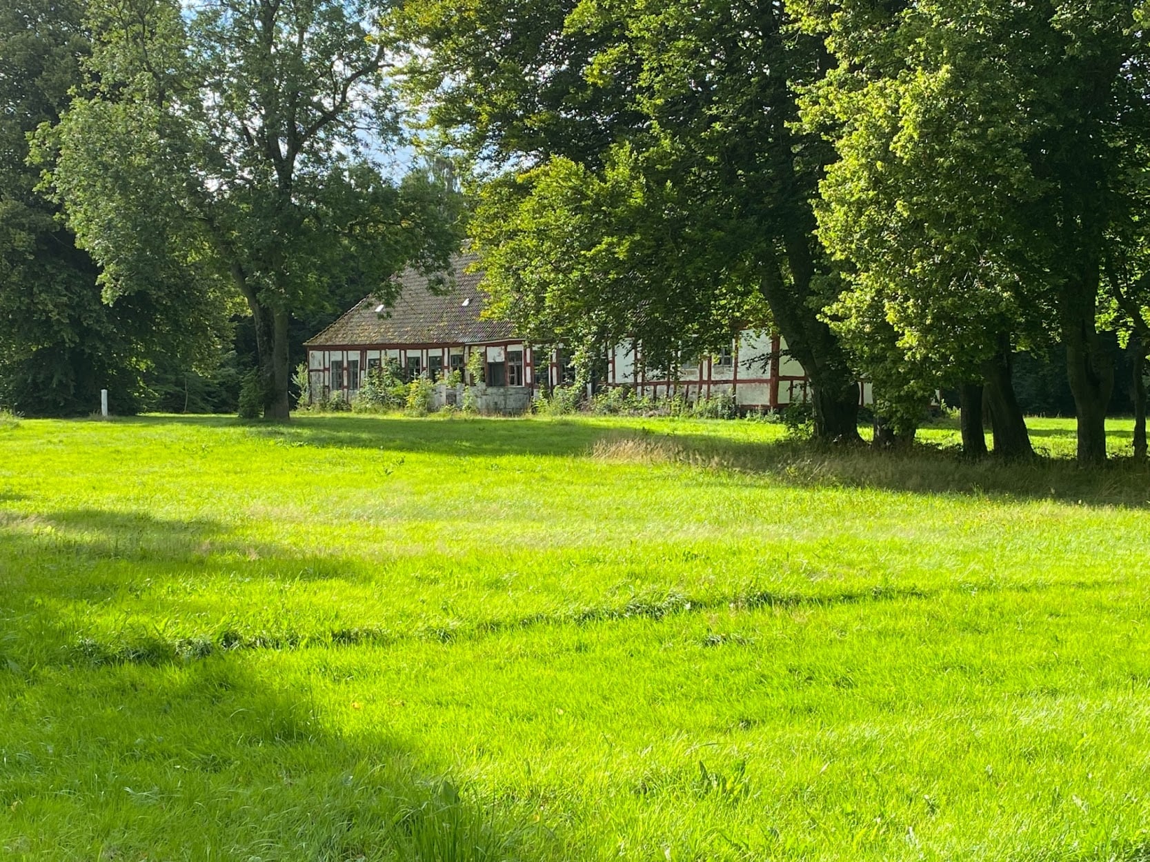 Ellinggård på en dejlig sommerdag.